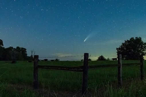 Comet Neowise over a rural cow pasture landscape with oil paint filter applied.