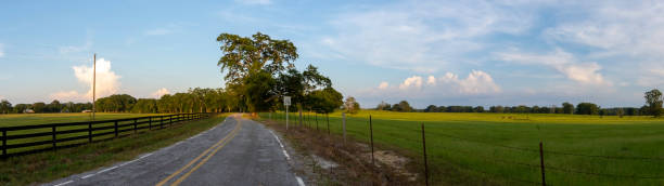 istock Country road panorama with cow pasture 1267445143