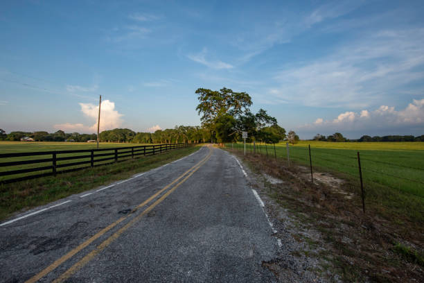 Empty country road leading through pasture land