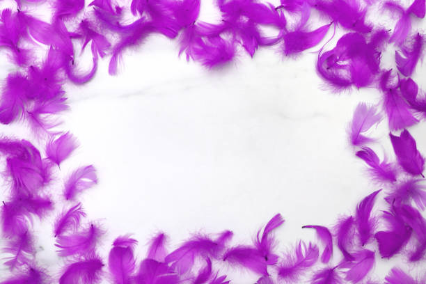 istock Frame of feathers violet. simple flat lay composition 1267446174