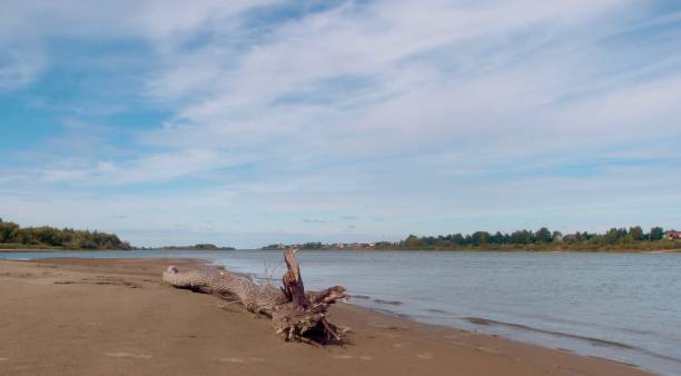 オムスク地方のイルティシュ川の眺め - irtysh river ストックフォトと画像