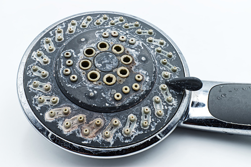 Silver shower head with limescales isolated on white