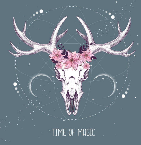 Modern Magic Witchcraft Taros Card With Animal Skull On Astrology Background Vector Illustration Stock Illustration - Download Image Now - iStock Modern Magic Witchcraft Taros Card With Animal Skull On Astrology Background Vector Illustration Stock Illustration - Download Image Now - iStock