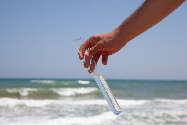 Test Tube with Sea Water in a Hand stock photo