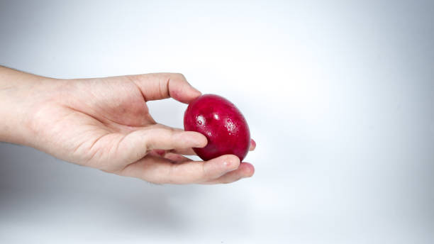 istock hand holding a salted egg or itlog na pula on white background 1267455215