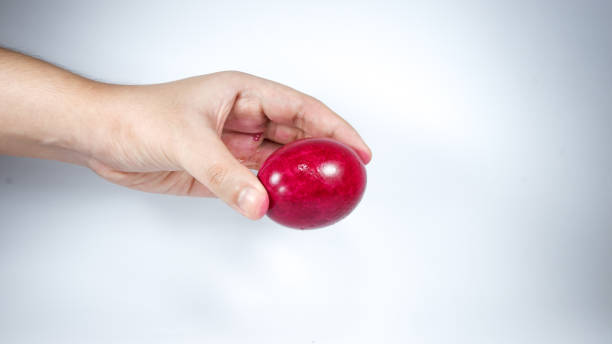 istock hand holding a salted egg or itlog na pula on white background 1267455230