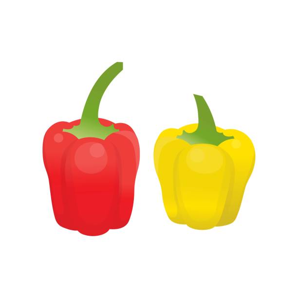 ilustrações de stock, clip art, desenhos animados e ícones de bell peppers on a white background vector illustration. - green bell pepper illustrations