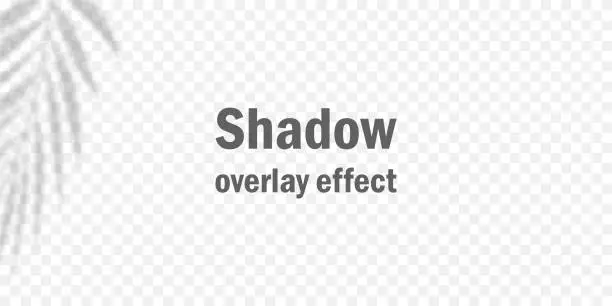Vector illustration of Shadow overlay effect. Vector summer blanks mock up. Light from window pane. For design, advertising, banner, invitation etc.