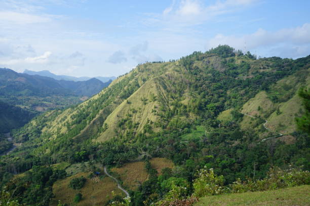 istock Cool natural scenery in the morning 1267459102
