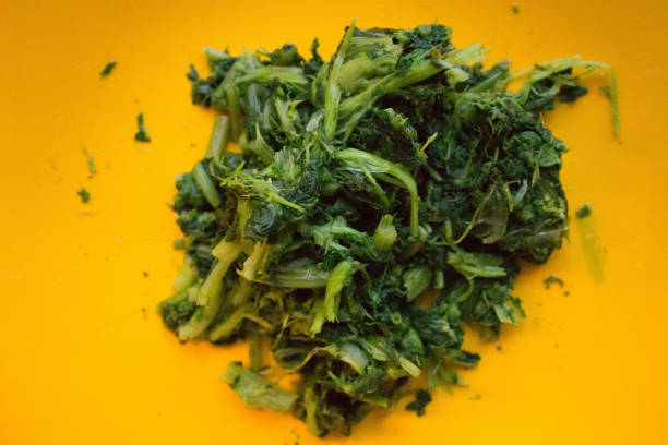 istock Italian vegetable called 