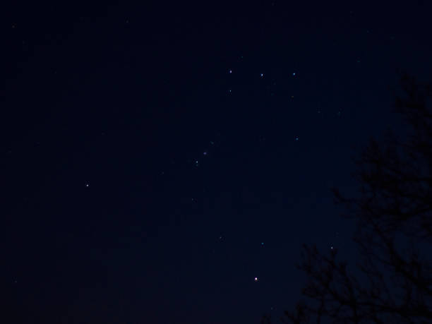 constelación de orión en el cielo. - h major fotografías e imágenes de stock