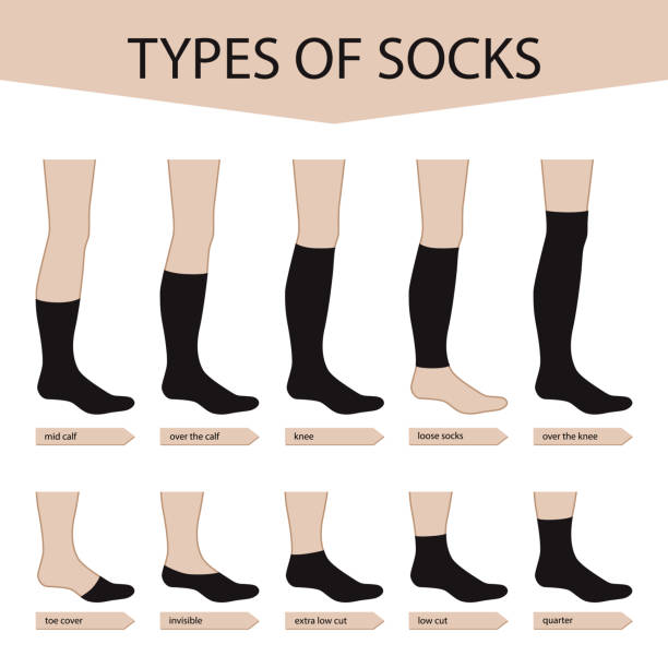 ilustrações de stock, clip art, desenhos animados e ícones de types of socks. set with various forms of socks. garment. - ped
