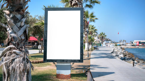 istock old advertising stand with white mockup on promenade sidewalk palm tree arround 1267470043