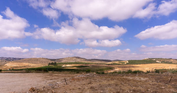 Landscape with arable and mountains on the background. Blue sky with white clouds. Middle East, Israel. Autumn season.