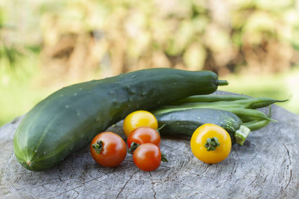 istock tomatoes zucchini and cucumber seasonal vegetables 1267470964