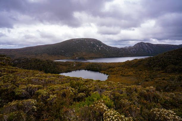 istock Trekking in Tasmania's Cradle Mountain 1267471183