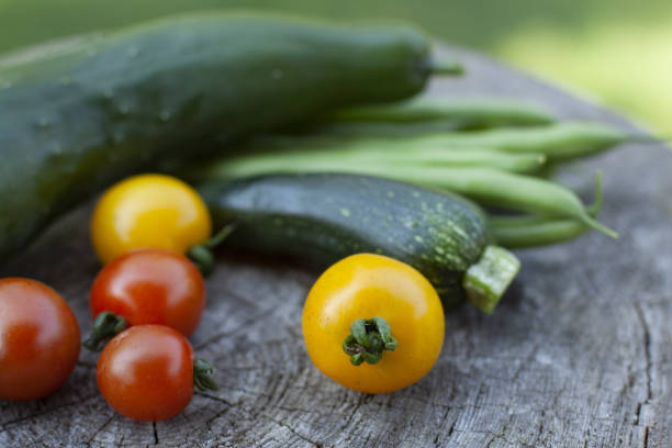 istock freshly harvested garden seasonal vegetables 1267471577