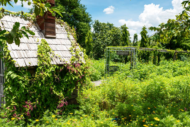 istock summer outdoor landscape 1267471790
