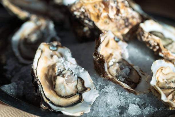 istock Oysters on the black plate on the table. 1267472068