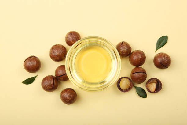 istock macadamia oil on the table. Minimalism, place for text 1267473520