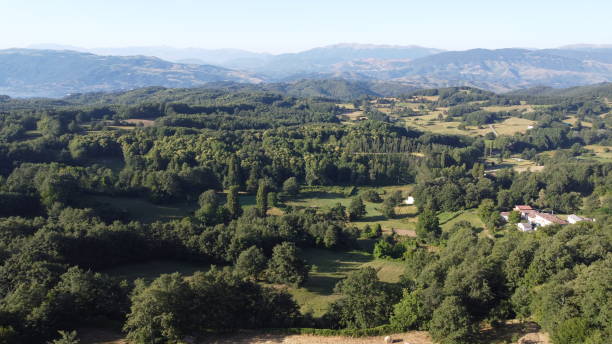 Abruzzo landscape Amatrice, Italy - July 11, 2020: Abruzzo is an ordinary statute region of southern Italy, with capital L 'Aquila, between the middle Adriatic and the central Apennines. This photo is taken in the countryside near Amatrice, a town of 2 439 inhabitants in the province of Rieti in Lazio. On 24 August 2016 Amatrice was devastated by a 6.0 magnitude earthquake on the Richter scale, which occurred at 3:36 in the Rieti area with its epicenter in nearby Accumoli; Amatrice herself paid the greatest tribute to human lives at the event: out of the 300 total victims, [10] [11] 235 died in its territory, which saw most of the public and private buildings destroyed. amatrice stock pictures, royalty-free photos & images