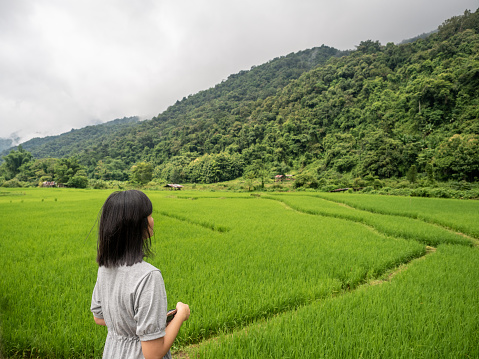 asian woman in rice field looking away to the view.