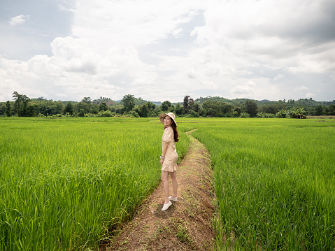Asian young adult walking on ridge in green rice field. Ecology travel in Nan, Thailand. person standing in wide rice terrace.