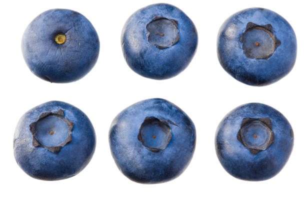istock blueberries isolated on white background. top view. healthy background. 1267484287