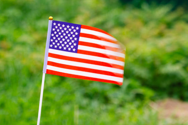 istock American Flag waving in the green grass background 1267484993