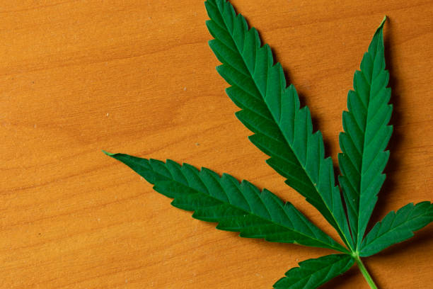 istock Cannabis leaf close-up top view. Weed marijuana plant flat lay with copy space 1267485443