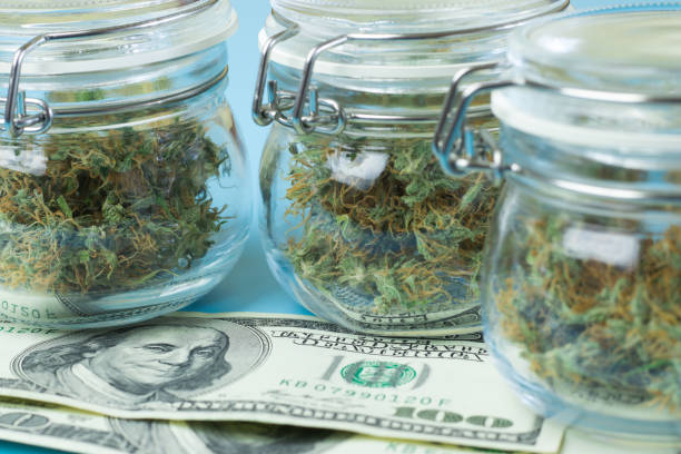 Money and marijuana. Cannabis business industry concept. Legal weed shop Money and marijuana. Cannabis business industry concept. Legal weed shop. cannabis store photos stock pictures, royalty-free photos & images