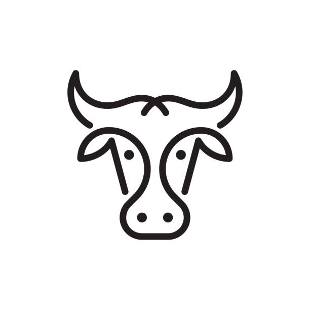 kuh- oder stier-logo - rindfleisch stock-grafiken, -clipart, -cartoons und -symbole