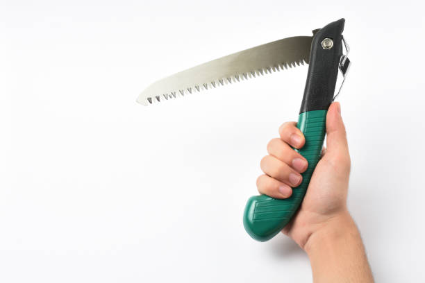 istock Male hand holding pruning saw, pruning shears on the white background 1267492815
