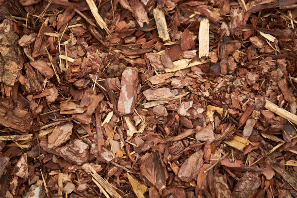 Backgrounds of bark mulch with copy space, photographed in full format in high resolution and color
