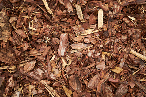 Backgrounds of bark mulch with copy space, photographed in full format in high resolution and color