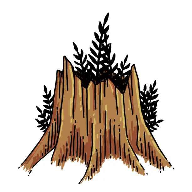 Vector illustration of Vector plants grow from an old stump in the forest.