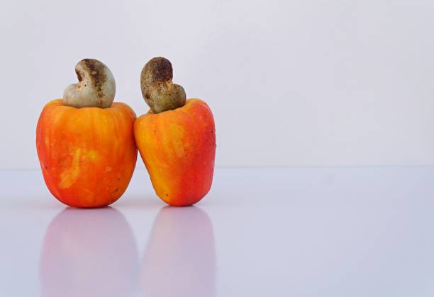 istock Cashew fruits on white background. 1267495498