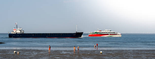 헬고랜드 섬과 함부르크를 연결하는 빠른 여객선이 엘베 강의 화물선추월을 추월하고 있습니다. - cruise ship river ship passenger ship 뉴스 사진 이미지