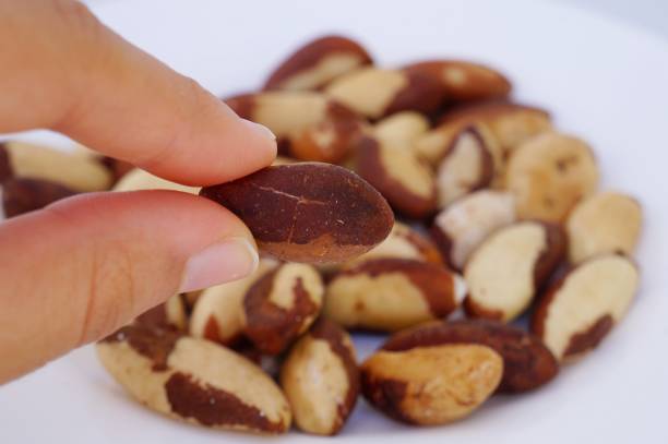 istock Woman's hand holding Brazil nuts on white background. 1267496861