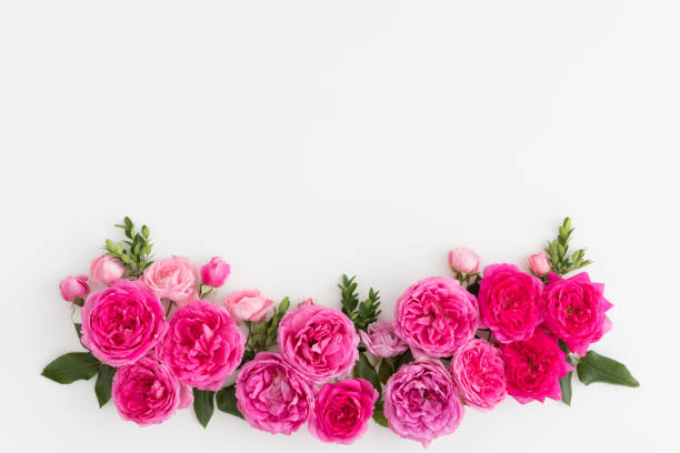 istock Pink roses on a white table. Flat lay with blank copy space. 1267499340