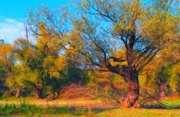 istock Oil landscape painting 1267502996