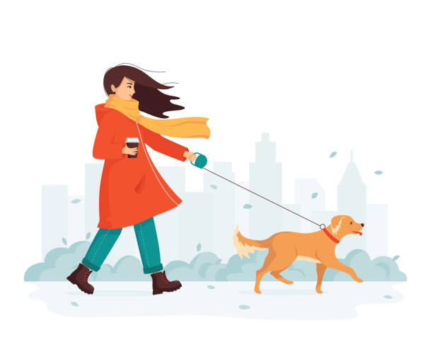 młoda szczęśliwa kobieta spacery z psem w parku miejskim. wieje silny wiatr. koncepcja spacerów na świeżym powietrzu w zimnych porach roku. zwierzak jest najlepszym przyjacielem. ilustracja wektorowa z kreskówek - autumn women scarf people stock illustrations