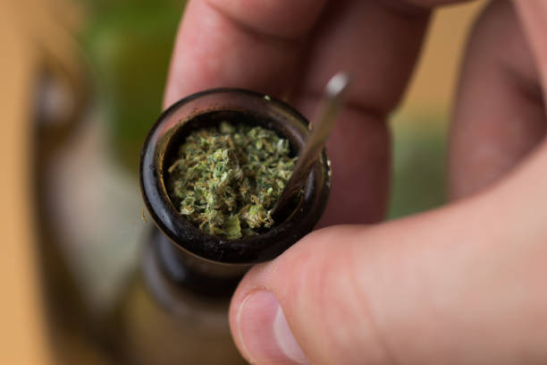 istock Man touching bong with shredded cannabis. Smoking marijuana 1267503628