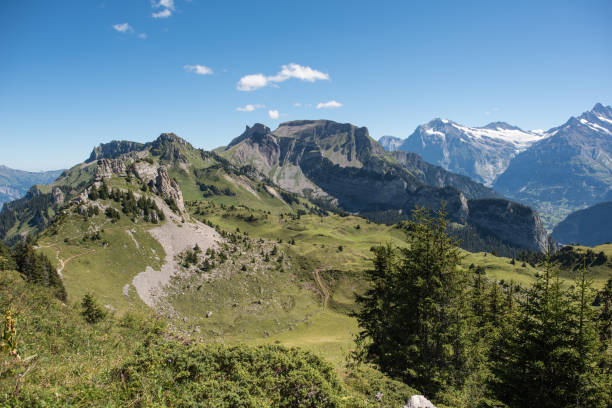 istock schynige platte, switzerland 1267514751