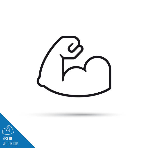 flexing muscles vector line icon Flexing arm muscles vector line icon. Strength and physical fitness outline symbol. muscular build stock illustrations