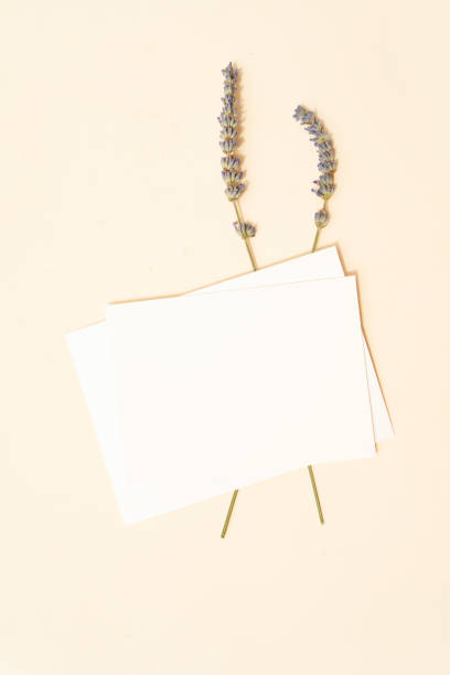 istock summer stationery mock-up scene 1267516868