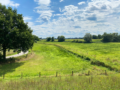 View on typical dutch rural flat landscape along river Maas with cycling track near Nijmegen