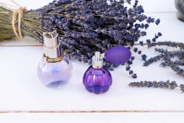 istock Lavender flowers and lavender oil 1267519346