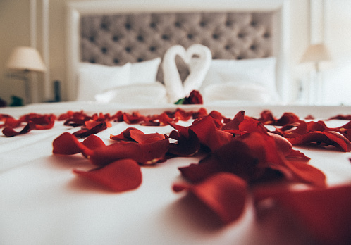 A bed covered with rose petals, with swans made of towels that form a heart. Honeymoon and wedding concept. Dating and Valentine's day.
