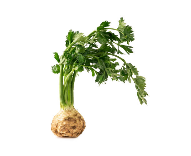 Celery on white background Celery, Celeriac, Cut Out, Root, Vegetable Celeriac stock pictures, royalty-free photos & images